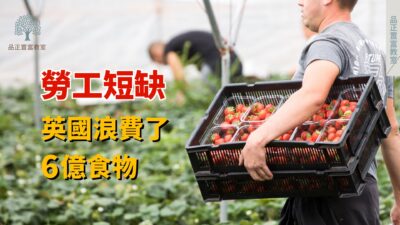 20220816art2-3af2a34d