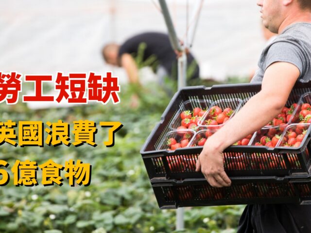 20220816art2-3af2a34d